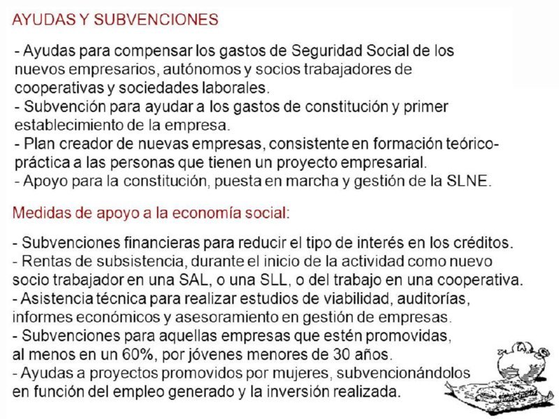 D22 TIPOS DE AYUDAS